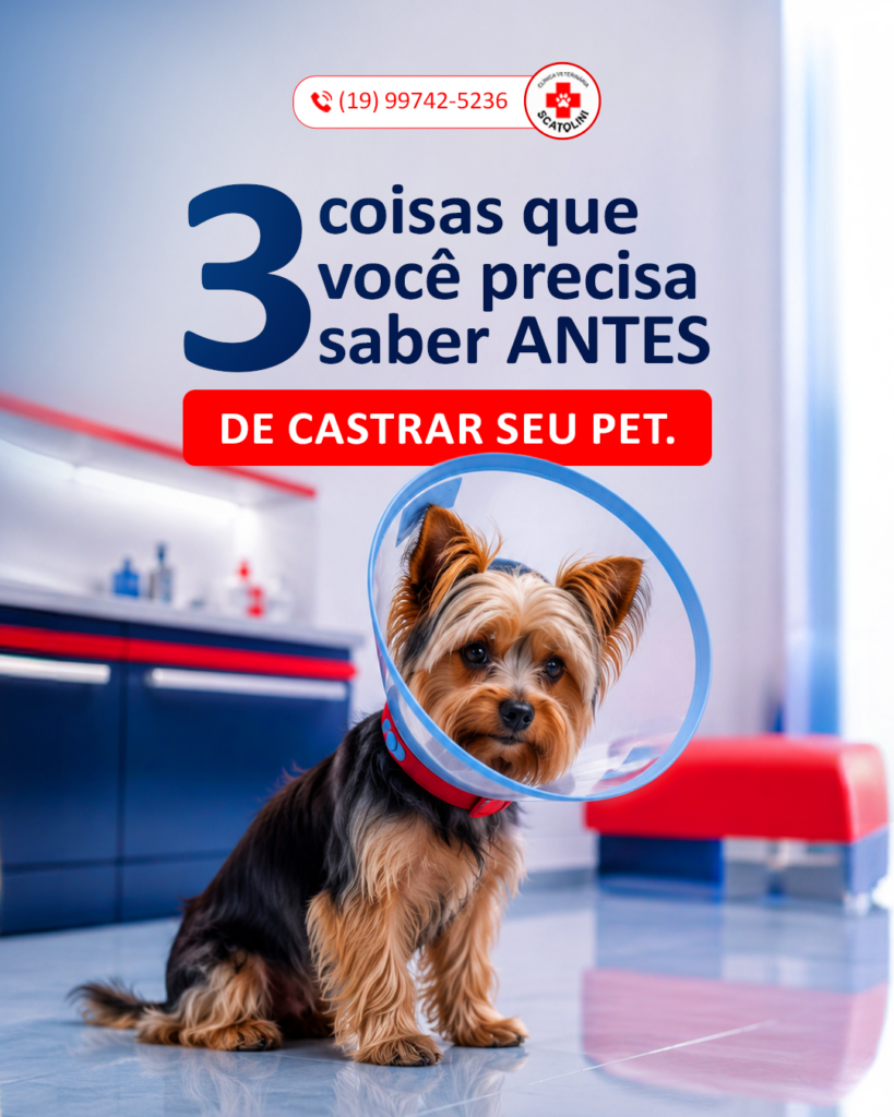CAPA-3COISAS