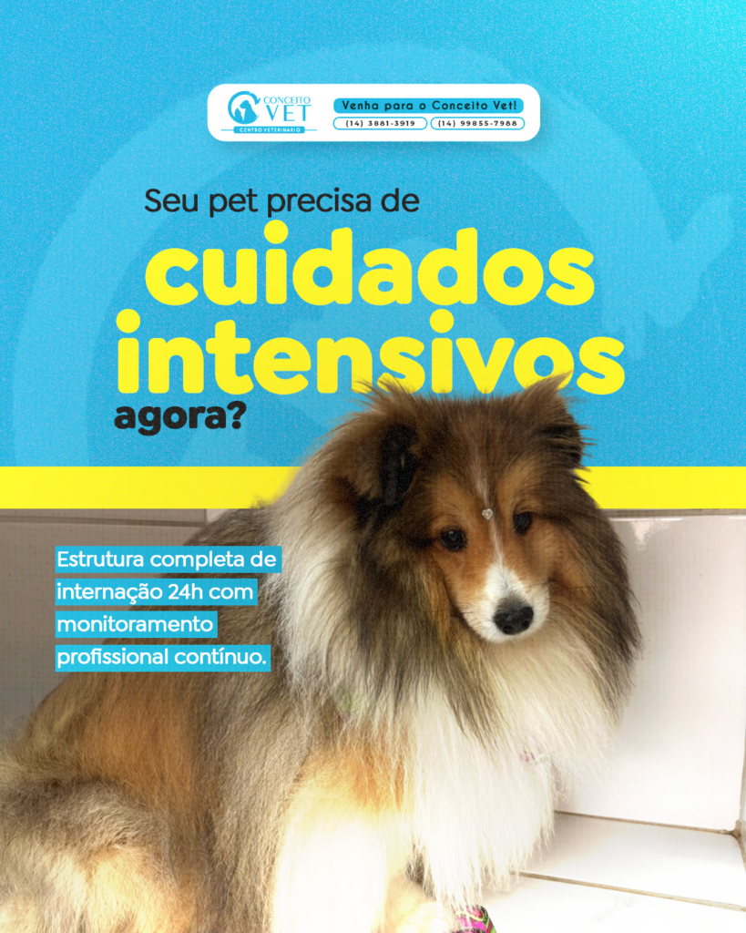 CONCEITOVET
