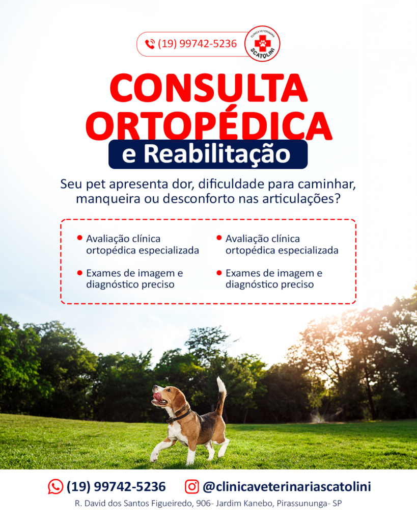 SCATOLINI-CONSULTAORTOPEDICA
